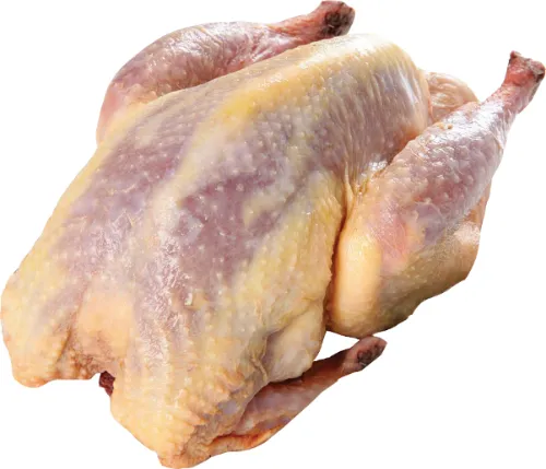 Šaldytas fazanas, paruoštas kepimui, 900 - 1000g, Didžioji Britanija
