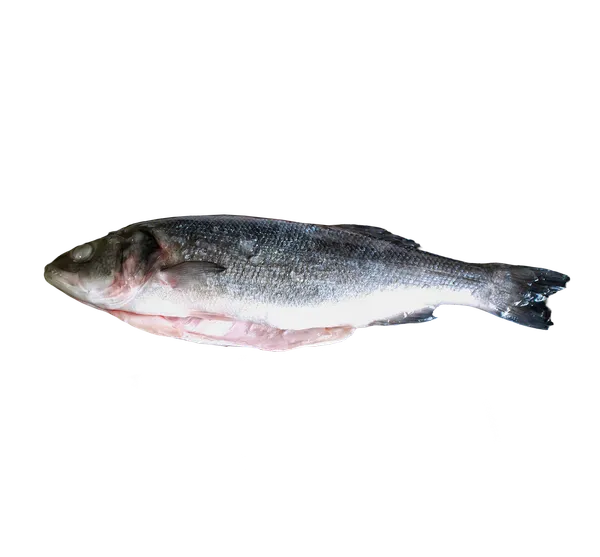 Šaldytas paprastasis vilkešeris su galva, skrostas, 300-400g, 20% glazūra,5kg