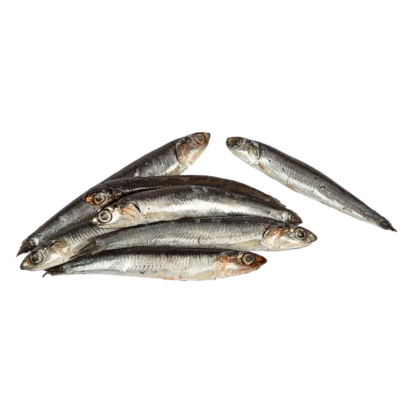 Šaldyti europiniai ančiuviai, 12-14g, be glazūros, 1 kg