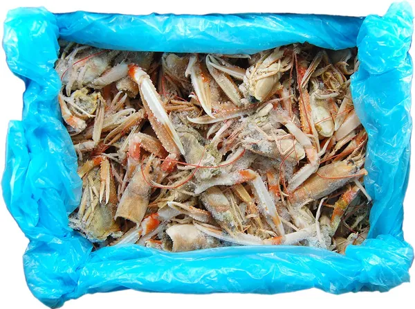 Šaldyti norveginių omarų kiautai su žnyplėmis, nevirti, 5kg