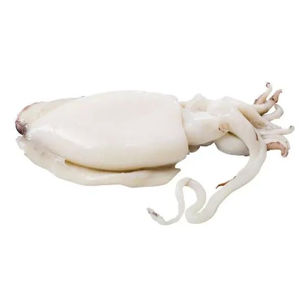 Šaldytos faraoninės sepijos, valytos, 25% glazūra, 500 - 1000 g, ~750 g