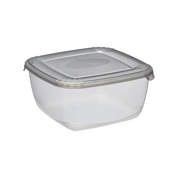Šaldytuvo indas Polar, su dangteliu, PPR, 2,5 l, 20 x 20 cm, H 9,9 cm, vnt