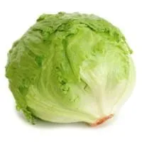 Salotos ICEBERG, gūžinės, I klasė, kg