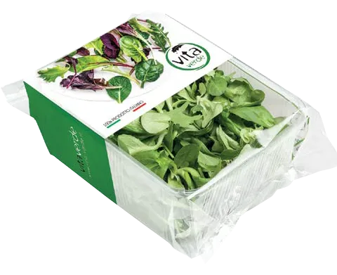 Salotų mišinys, gražgarsčių lapai ir sultenė, 100 g, VDV