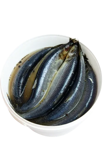 Silpnai sūdyta Atlantinė silkė, su galva, neskrosta, 4 kg
