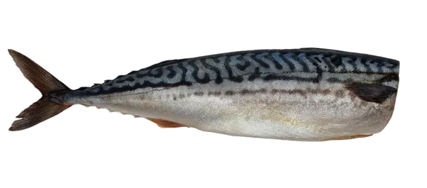 Silpnai sūdyta Atlantinė skumbrė, be galvos, skrosta, 250-500g,  kg