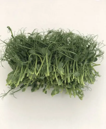 Skinti žirnių ūgliai, 100 g, GN1