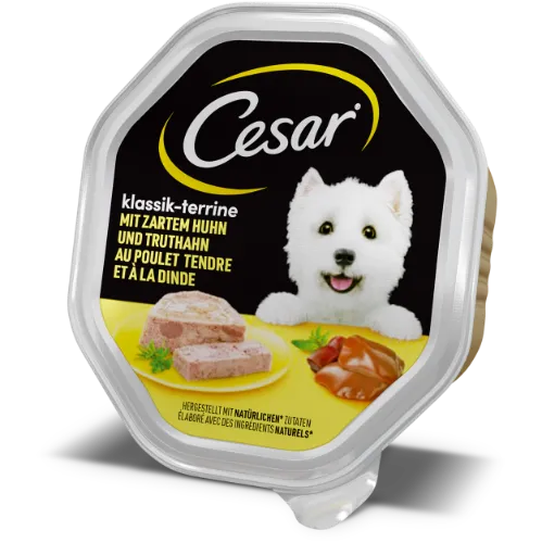 Šlapias ėdalas šunims CESAR, su vištiena ir kalakutiena, indelyje, 150g