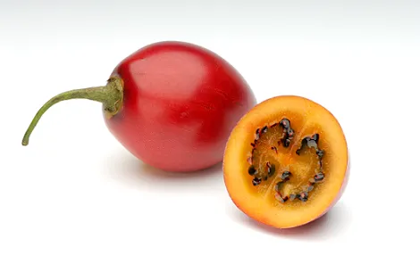 Tamarilai, I klasė, kg