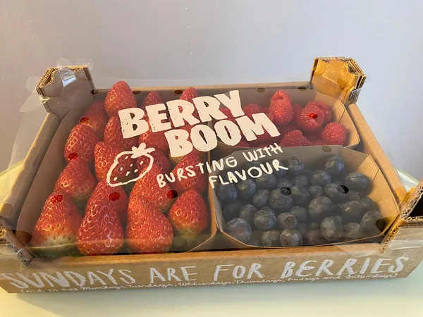 Uogų rinkinys (braškės, šilauogės, avietės), 650 g