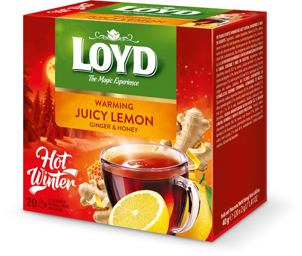 Vaisinės arbatos gėrimas LOYD Warming, citrinų imbiero ir medaus skonio, 20 x 2g