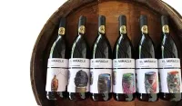 Vynas EL MIRACLE Art, 13%, 0,75 l