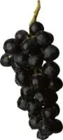 Vynuogės, mėlynos, su sėklomis, kg