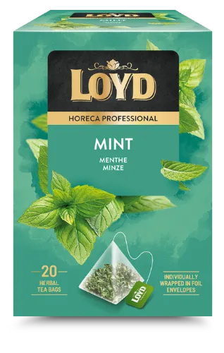Piparmētru tēja LOYD Pyramids FS, 20x2g