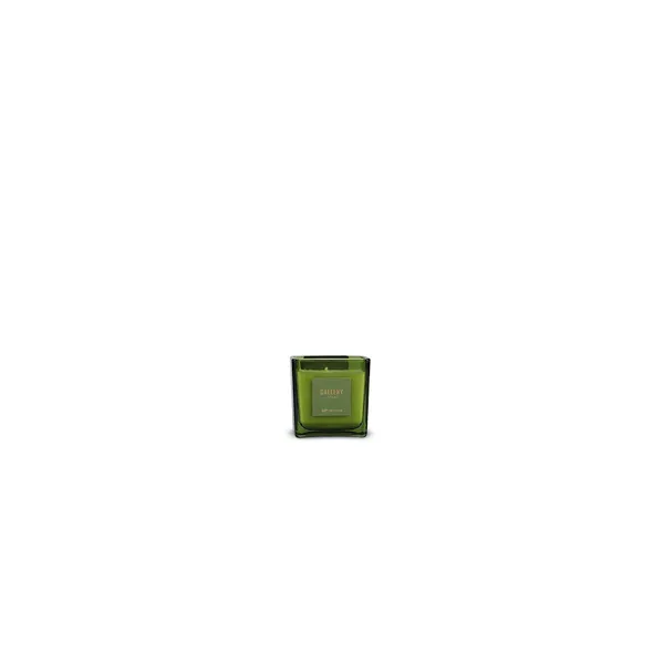 Žvakė Gallery Forest, kvepianti, 8 x 8 cm, H 8 cm, 220 g, iki 48 h, vnt