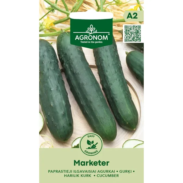Agurkai ilgavaisiai MARKETER,  AGRONOM