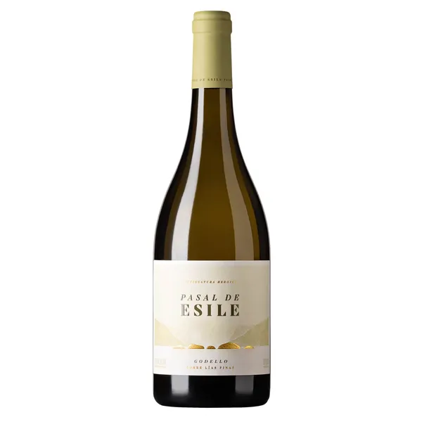 Baltasis sausas vynas PASAL DE ESILE GODELLO, 13 %, 0,75 l