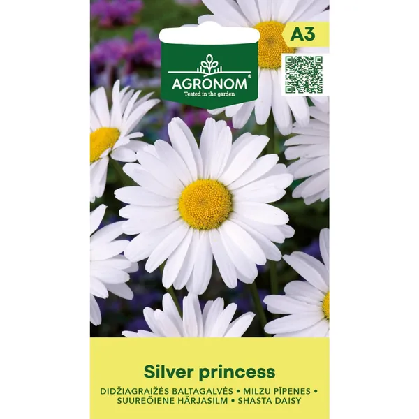 Pīpenes milzu Silver Princess