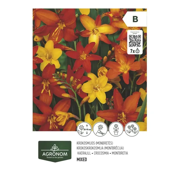 Gėlių svogūnėliai AGRONOM CROCOSMIA MIX, SG26