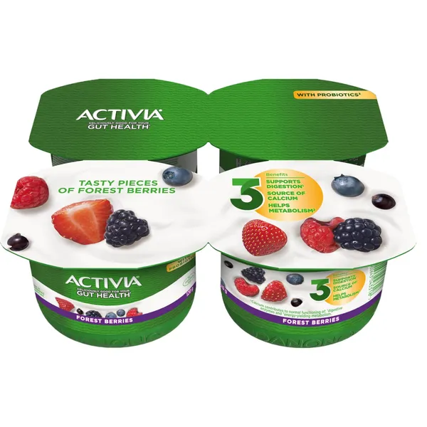 Jogurtas su miško uogomis ACTIVIA, 4 x 120 g, 2,9 % rieb., 480 g