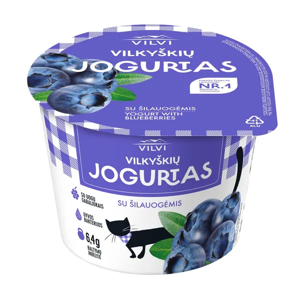 Jogurtas VILKYŠKIŲ su šilauogėmis, 3,6 % rieb. 200 g