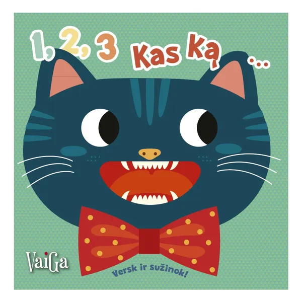 Knyga 1,2,3 KAS KĄ...PRARIS! VERSK IR SUŽINOK, 1 vnt.