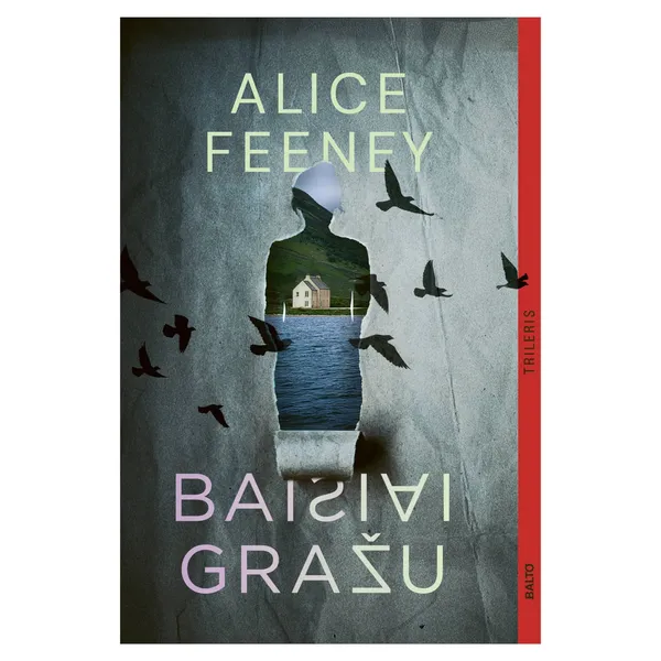 Knyga Alice Feeney BAISIAI GRAŽU