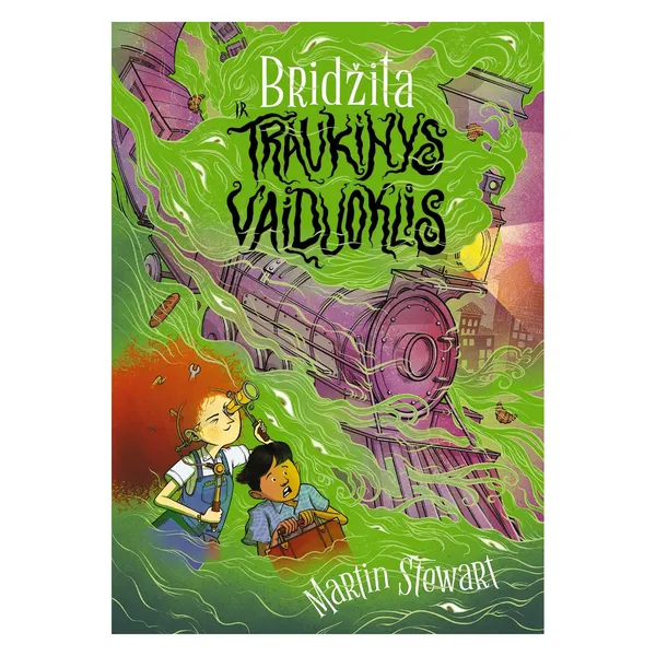 Knyga Martin Stewart BRIDŽITA IR TRAUKINYS VAIDUOKLIS