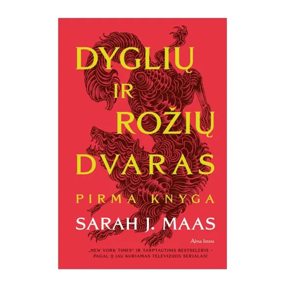 Knyga Sarah J. Maas DYGLIŲ IR ROŽIŲ DVARAS. PIRMA KNYGA, 14-18 m.