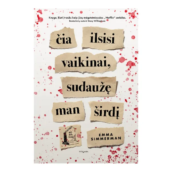 Knyga Emma Simmerman ČIA ILSISI VAIKINAI, SUDAUŽĘ MAN ŠIRDĮ