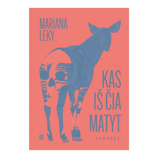 Knyga Mariana Leky KAS IŠ ČIA MATYT