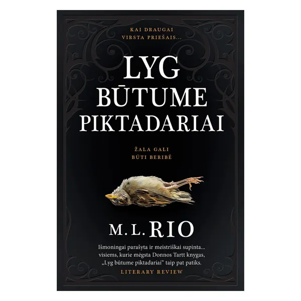 Knyga M.L. Rio LYG BŪTUME PIKTADARIAI