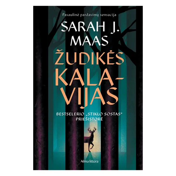 Knyga Sarah J. Maas ŽUDIKĖS KALAVIJAS. SERIJOS STIKLO SOSTAS PRIEŠISTORĖ