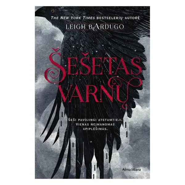 Knyga Leigh Bardugo ŠEŠETAS VARNŲ. PIRMA KNYGA, nuo 10 iki 18 metų