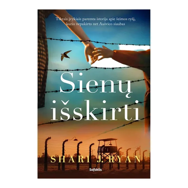 Knyga Shari J Ryan SIENŲ IŠSKIRTI