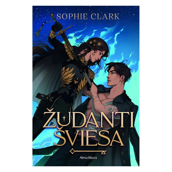 Knyga Sophie Clark ŽUDANTI ŠVIESA, 11-14 m.