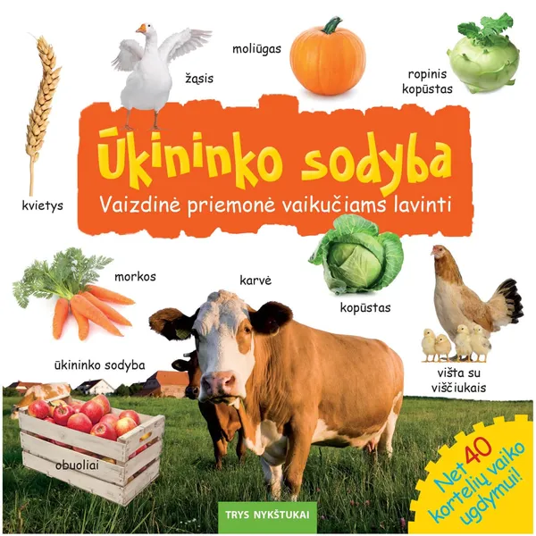Knyga ŪKININKO SODYBA. VAIZDINĖ PRIEMONĖ VAIKUČIAMS LAVINTI, 2-3 m.