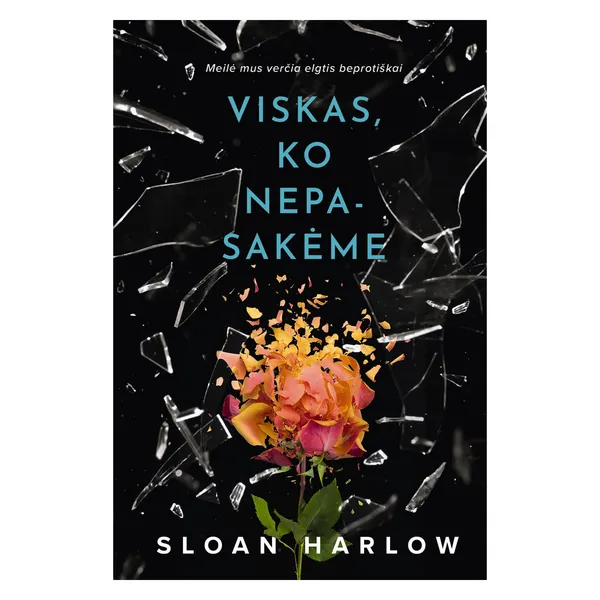 Knyga Sloan Harlow VISKAS, KO NEPASAKĖME