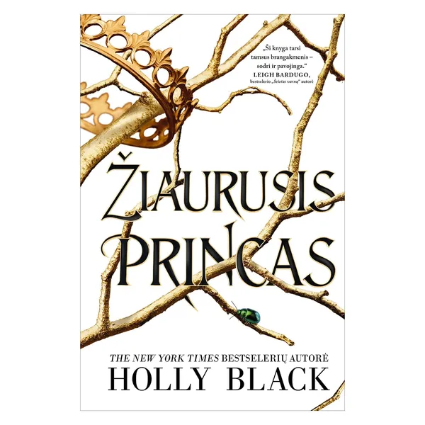Knyga Holly Black ŽIAURUSIS PRINCAS. SERIJOS ŽIAURUSIS PRINCAS PIRMA KNYGA, nuo 10 iki 18 metų