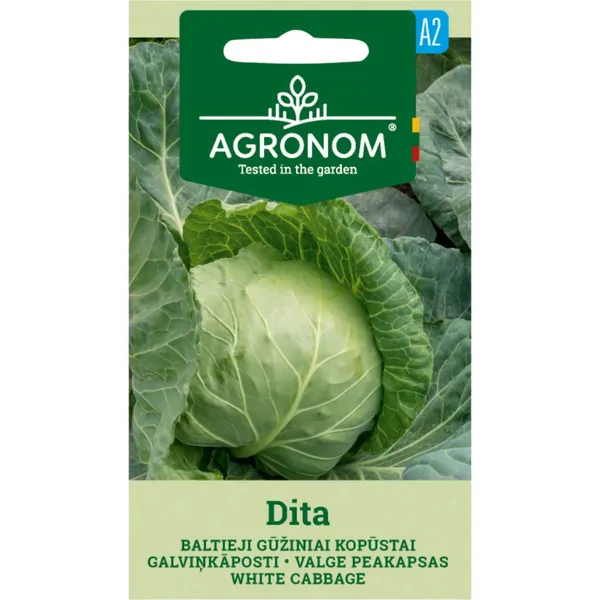 Kopūstai Dita