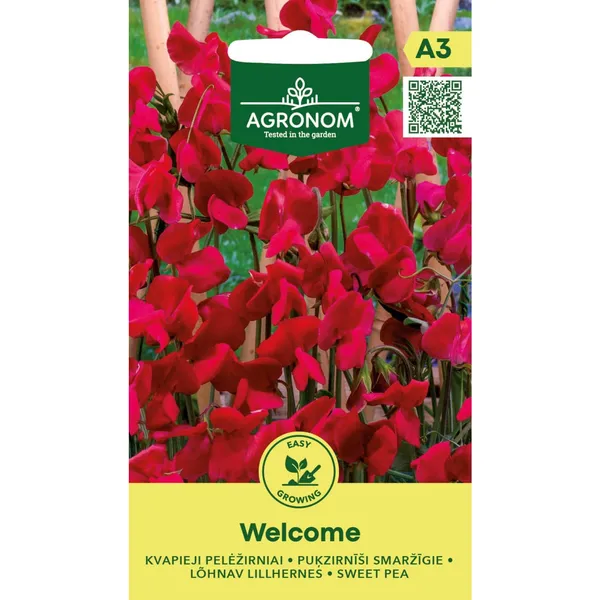 Puķzirnīši smaržīgie Welcome