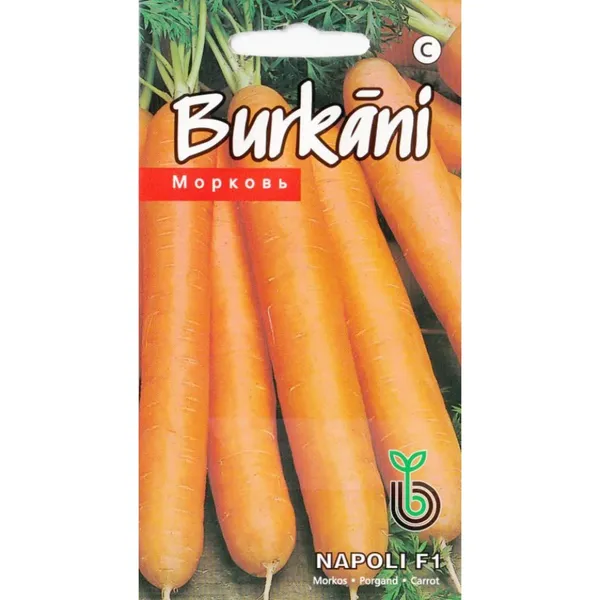 Burkāni Napoli F1 Kurzemes sēklas