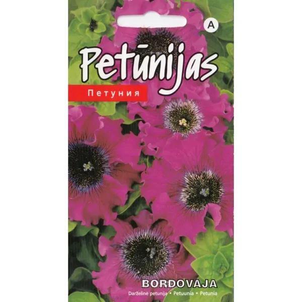 Petūnijas Bordovaja Kurzemes sēklas