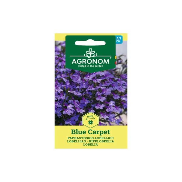 Sėklos AGRONOM Lobelijos paprastosios Blue Carpet