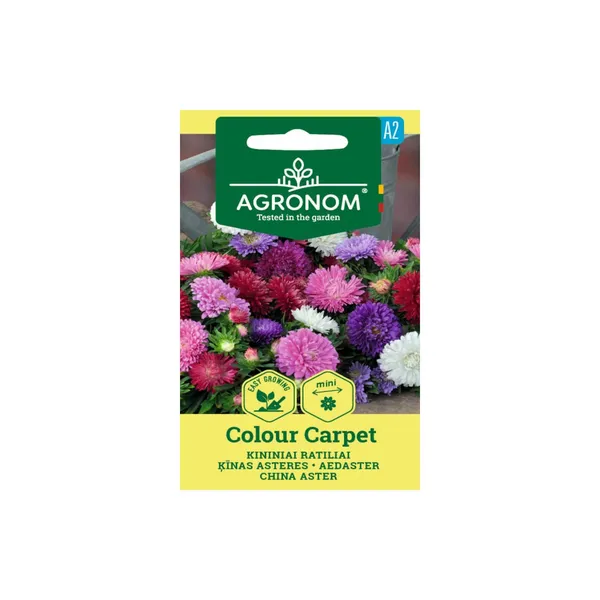 Sėklos AGRONOM Ratilių mišinys Colour Carpet