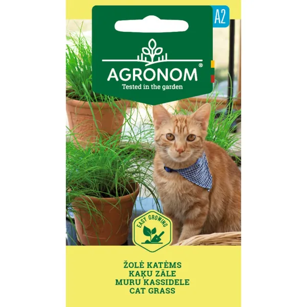Sēklas AGRONOM Kaķu zāle