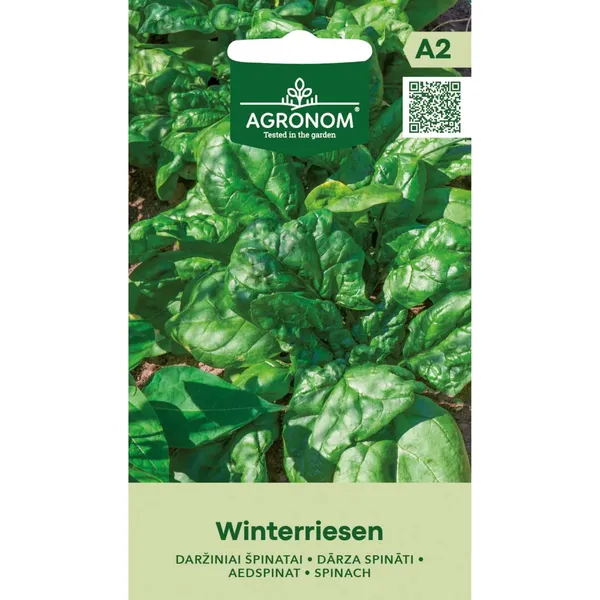 Sėklos AGRONOM ŠPINATAI DARŽINIAI WINTERRIESEN