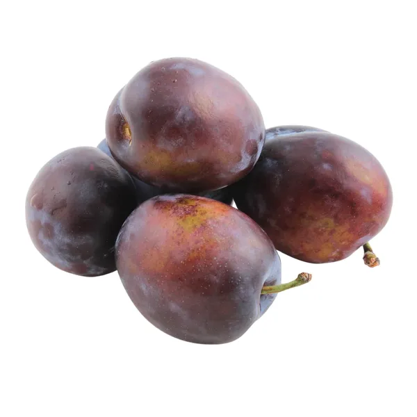 Plūmes tumšās Angeleno 50+ mm, kg