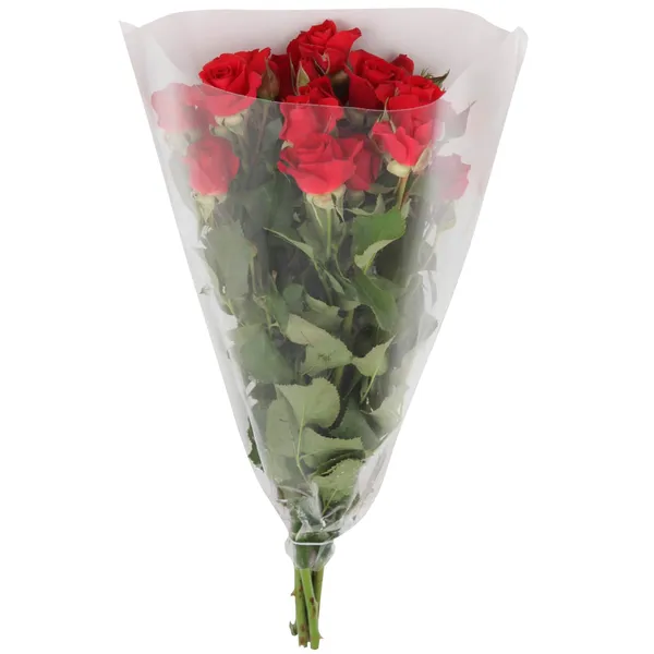 Krūmrozes 40cm 5 kāti