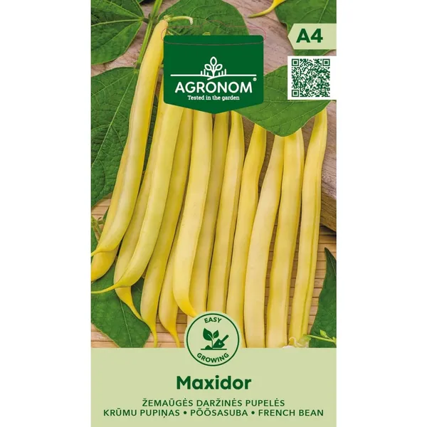 Krūmu Pupiņas (Sparģeļu) Maxidor